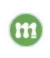 Mentorisy