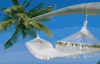 Radisson989