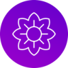 Mirubit