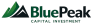 BluePeak Capital Investment