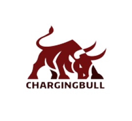 Charging Bull